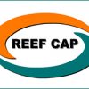 Reef Glass Pot Caps ...