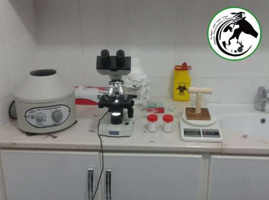 Al Asr Doctors Clinic and Pharmacy Primary Veterinary 