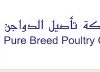 Pure Breed Poultry Co.