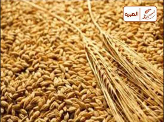 Al Snaidi Est. For Wheat & Barley 