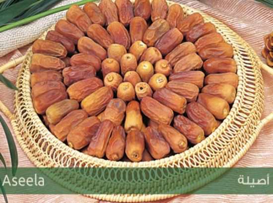 Kingdom Dates Factory Qassim 